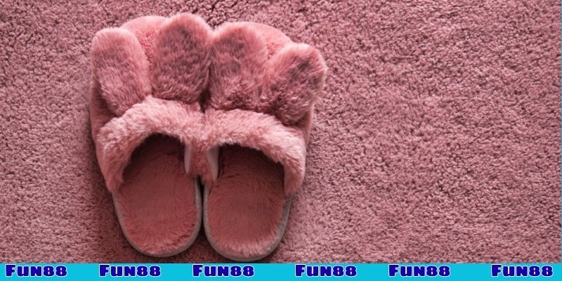 Mơ thấy mất dép có phải điềm gở không